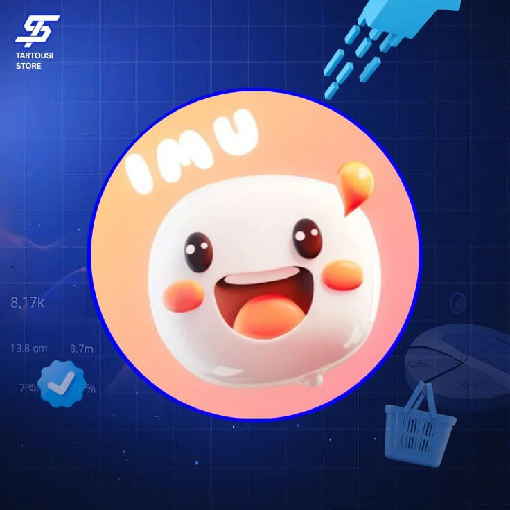 IMU